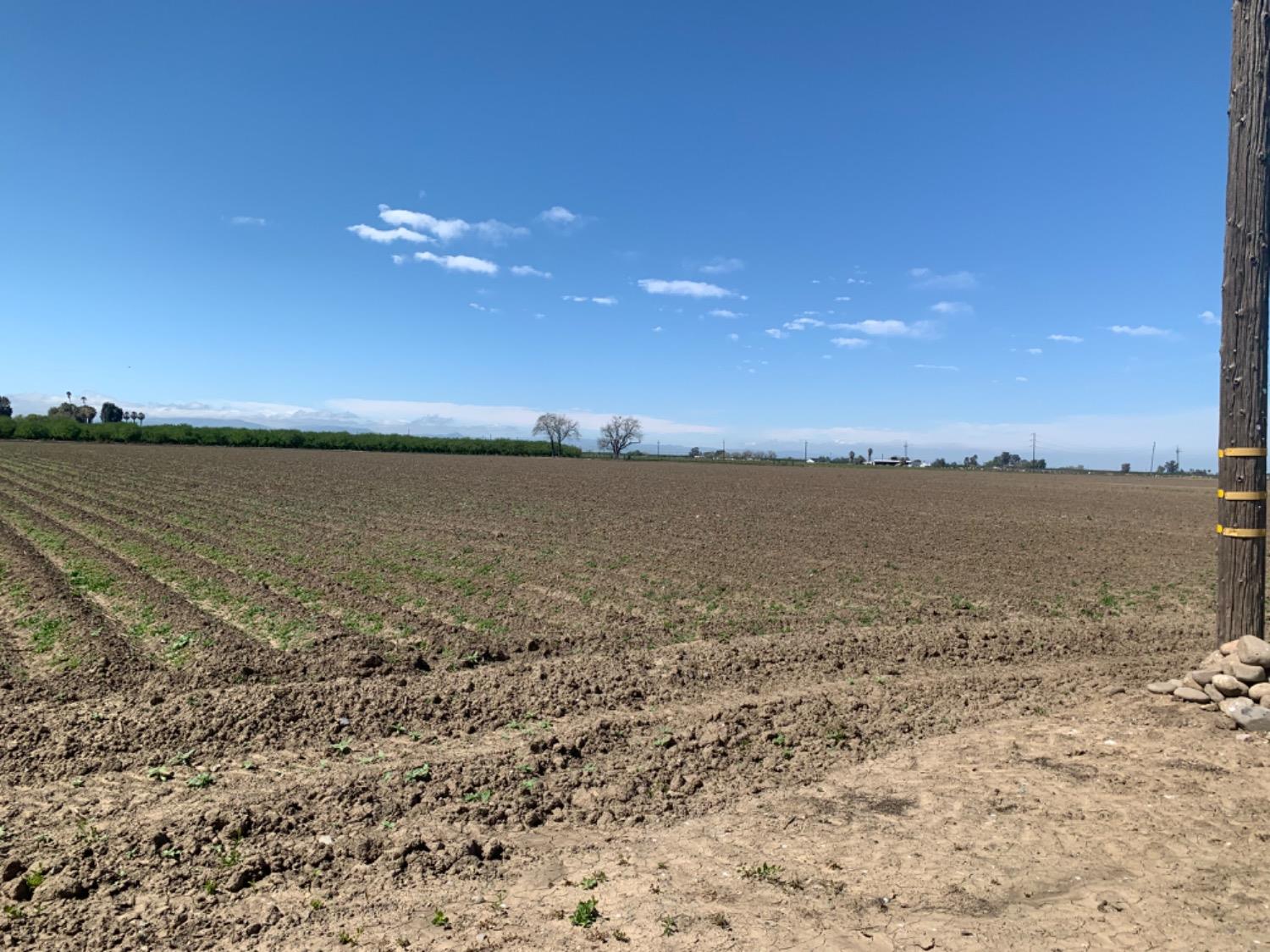 0 Santa Lucia Road Los Banos, CA 93635 - Photo 7 of 9