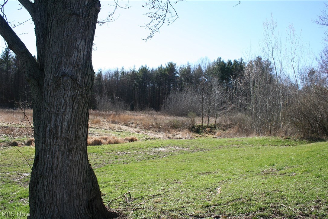 37051 Neff Road Grafton, OH 44044 - Photo 14 of 15 Gallery Image 14