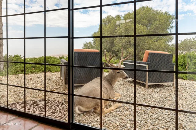 a view of residential houses with a yard and mountain view in back