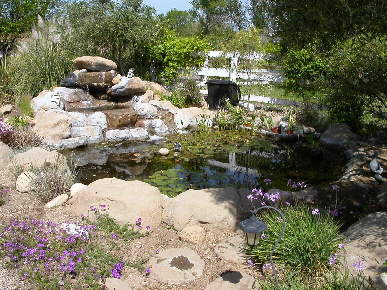 1450 Dove Meadow Road Solvang, CA 93463 - Photo 6 of 9 Pond