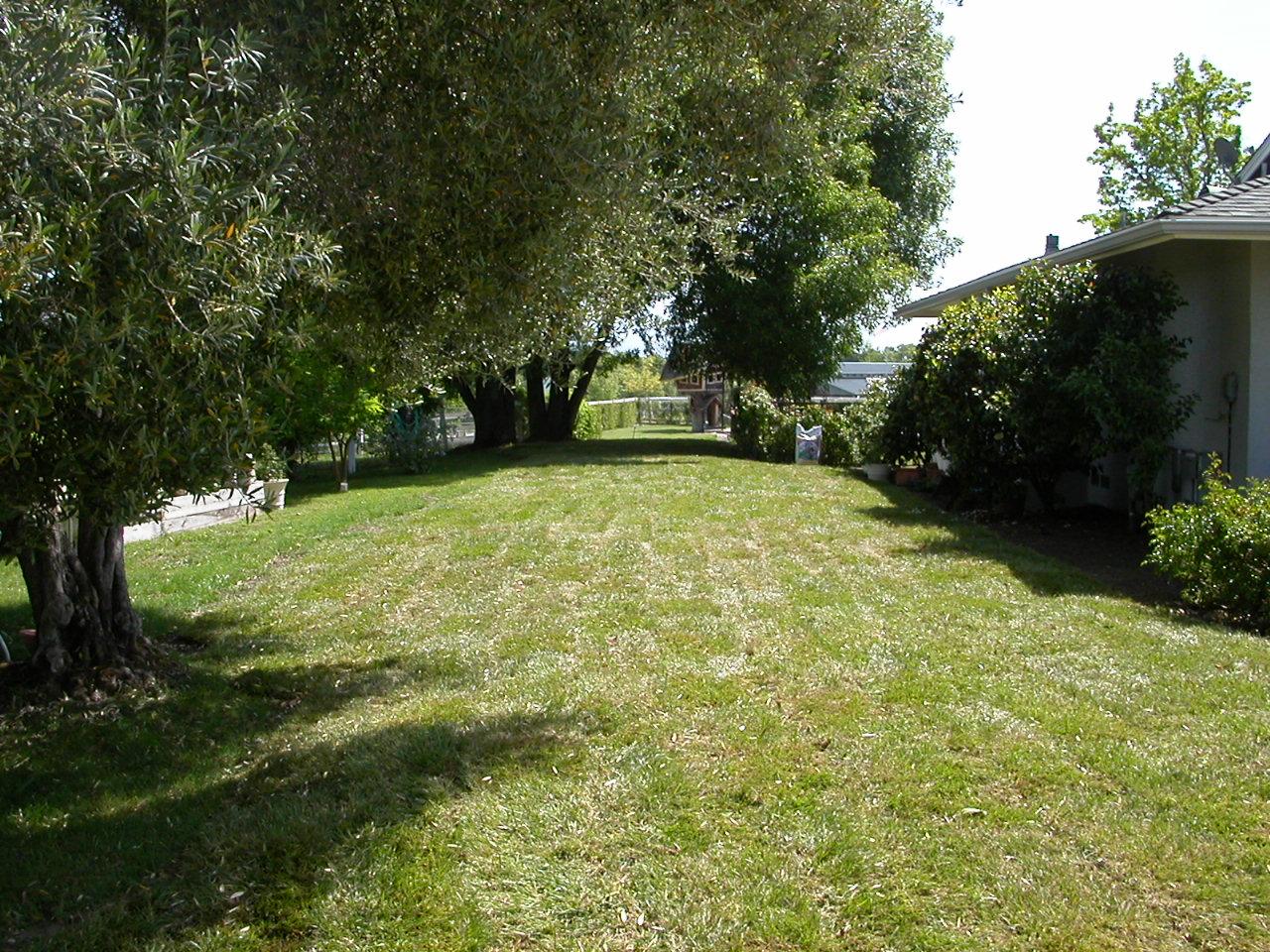 1450 Dove Meadow Road Solvang, CA 93463 - Photo 7 of 9 Side Yard