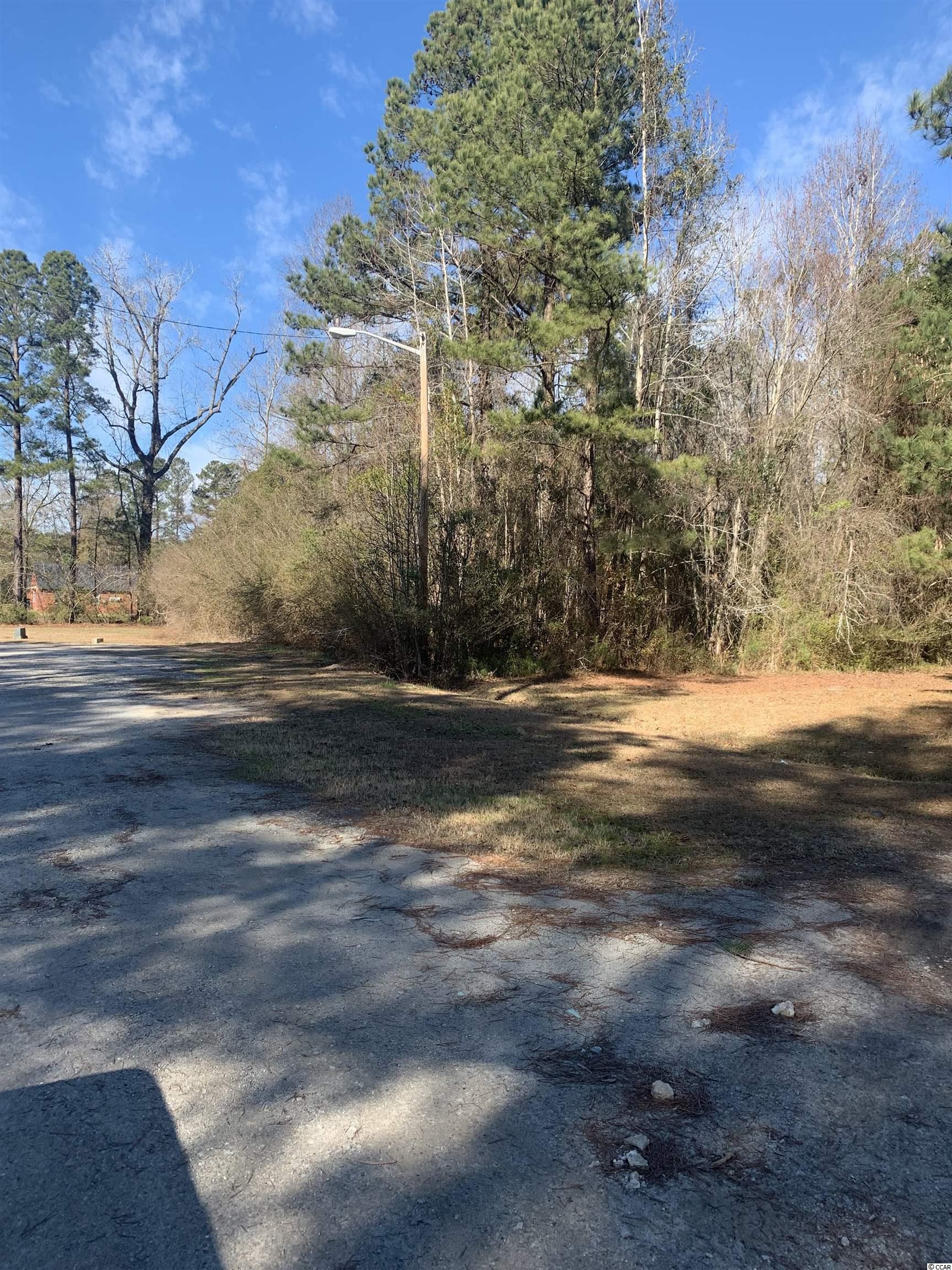 Lot 6 Spring Dale Street Loris, SC 29569 - Photo 3 of 5 Gallery Image 3