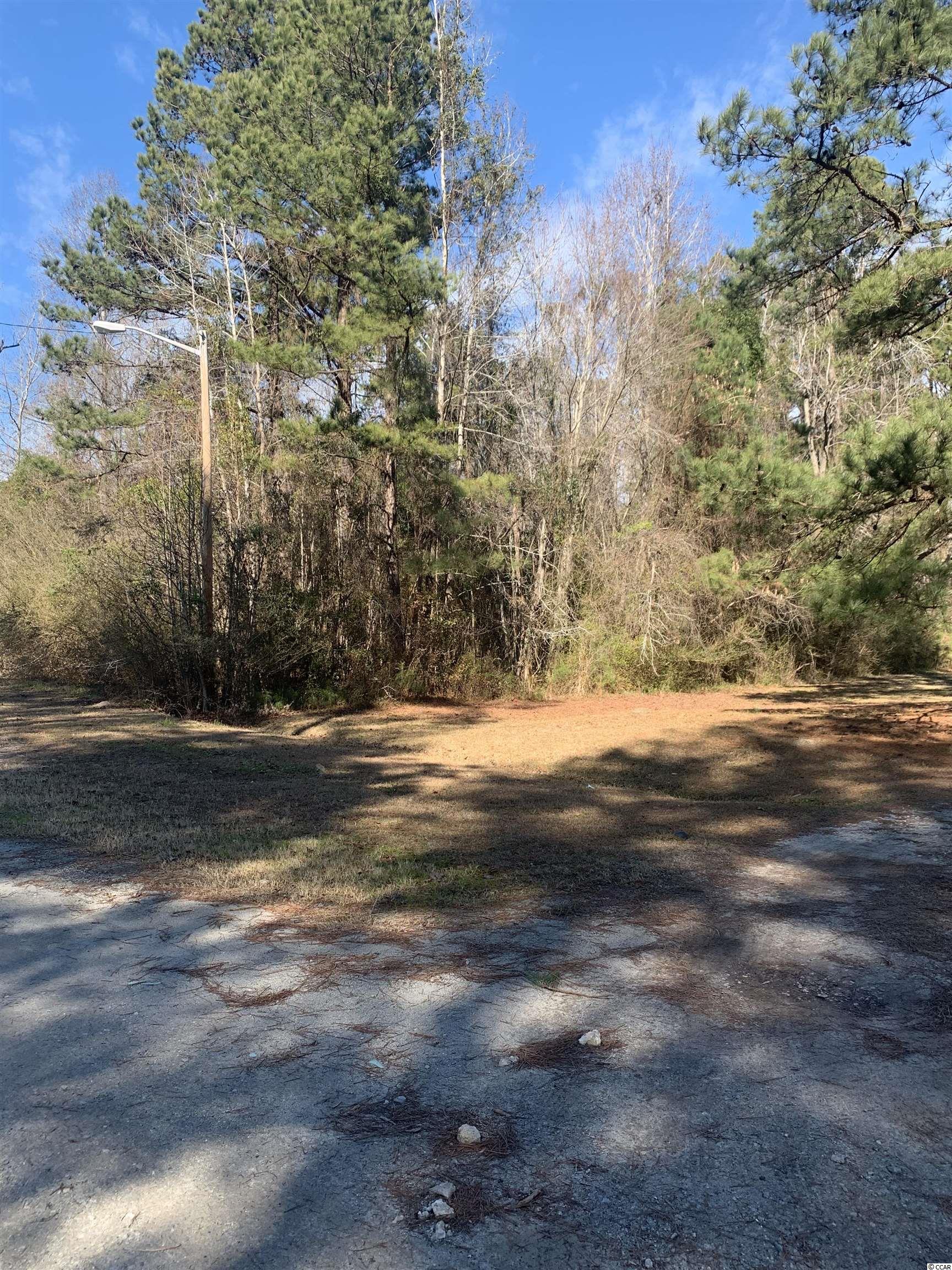 Lot 6 Spring Dale Street Loris, SC 29569 - Photo 5 of 5 Gallery Image 5
