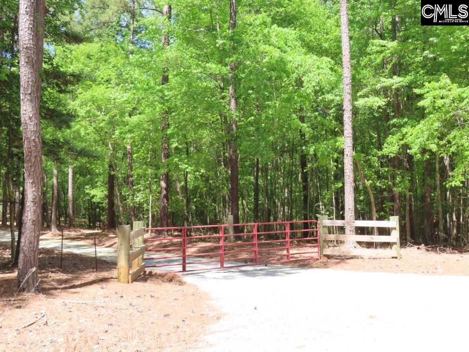 201 State Rd S-20-99 Blair, SC 29015 - Photo 58 of 61