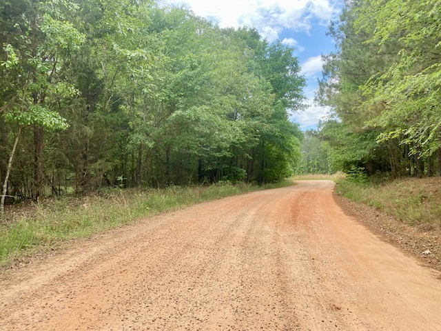 0 Pete Johnson Road Tignall, GA 30668 - Photo 38 of 43 Road Frontage access to Power and Fiber Optics