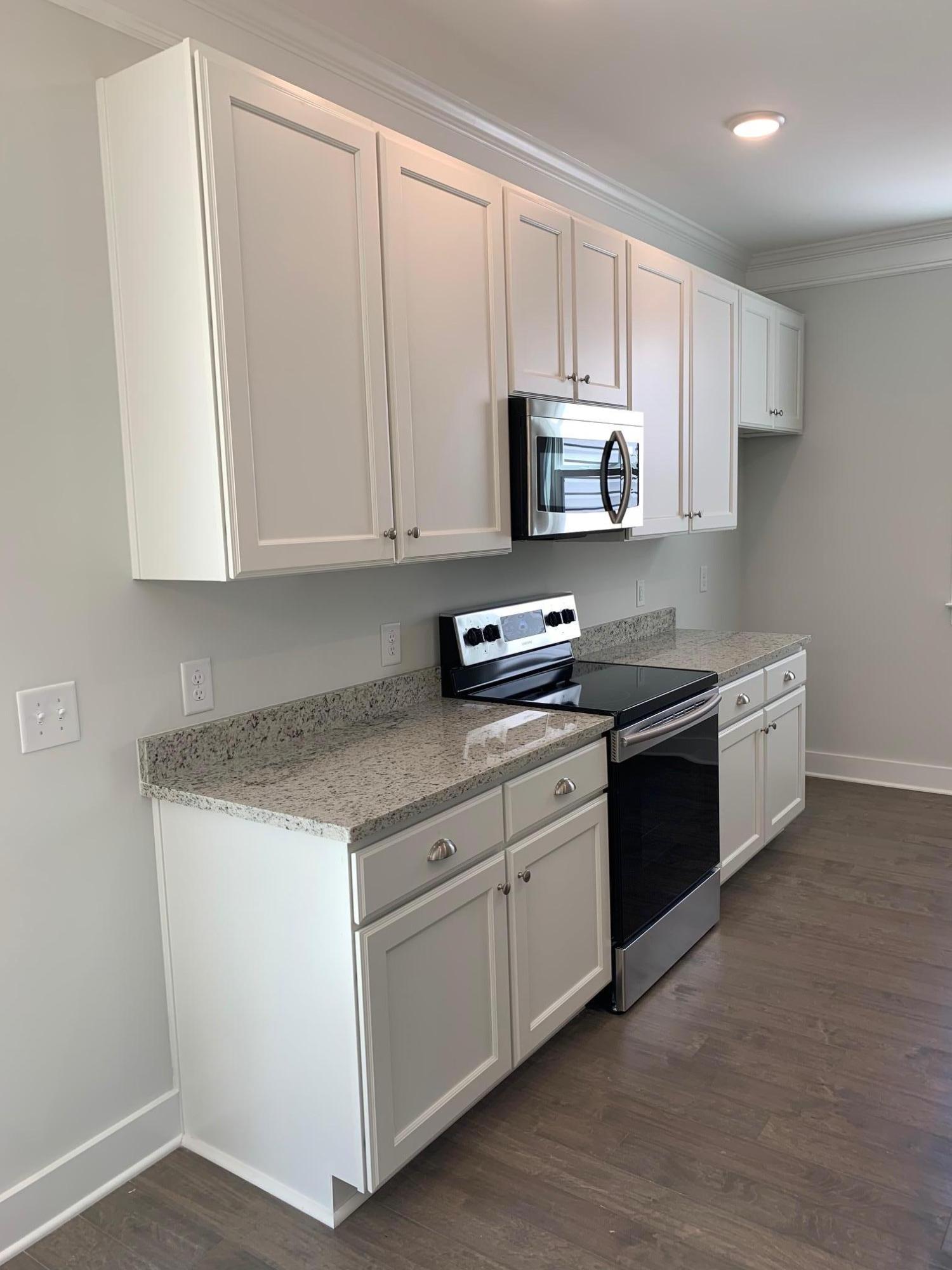 1155 Alston Dingle Road Awendaw, SC 29429 - Photo 8 of 20 Kitchen Cabinets