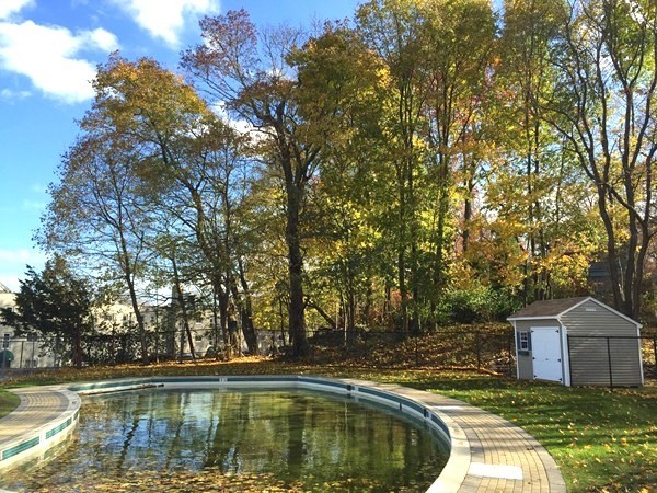 22 Chestnut Place, Unit 403 Brookline, MA 02445 - Photo 9 of 11