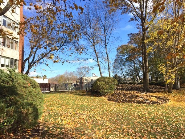 22 Chestnut Place, Unit 403 Brookline, MA 02445 - Photo 10 of 11