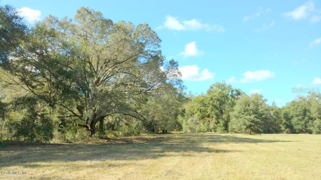 31 Northwest Gainesville Road Ocala, FL 34475 - Photo 1 of 1 1 - 32ac (8)