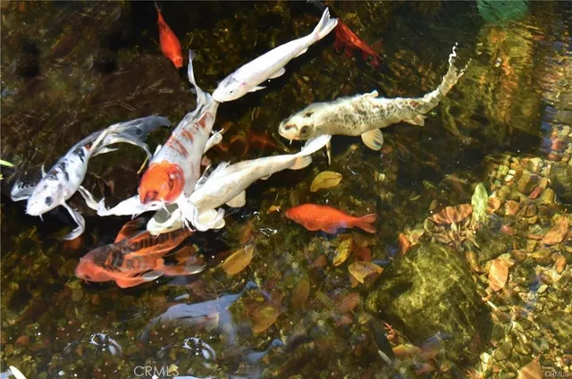 $6,200 | 14018 Hesby Street, Sherman Oaks, CA 91423