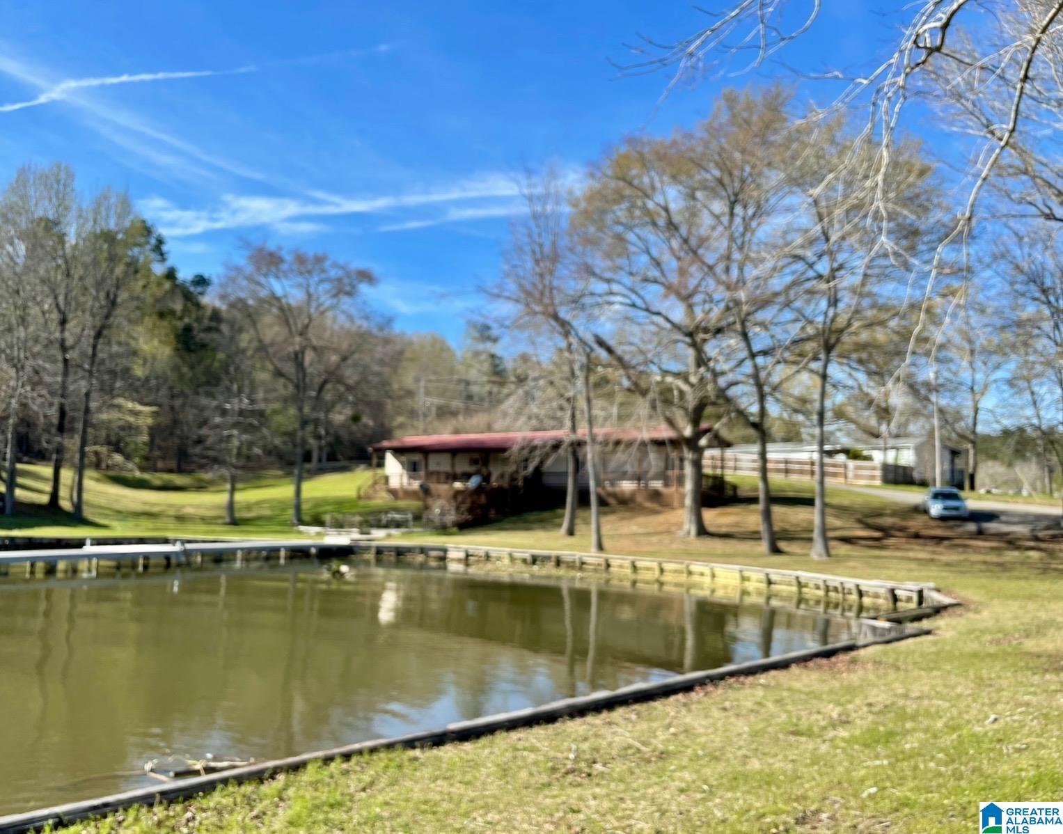 71 Marina Place Adger, AL 35006 - Photo 3 of 22
