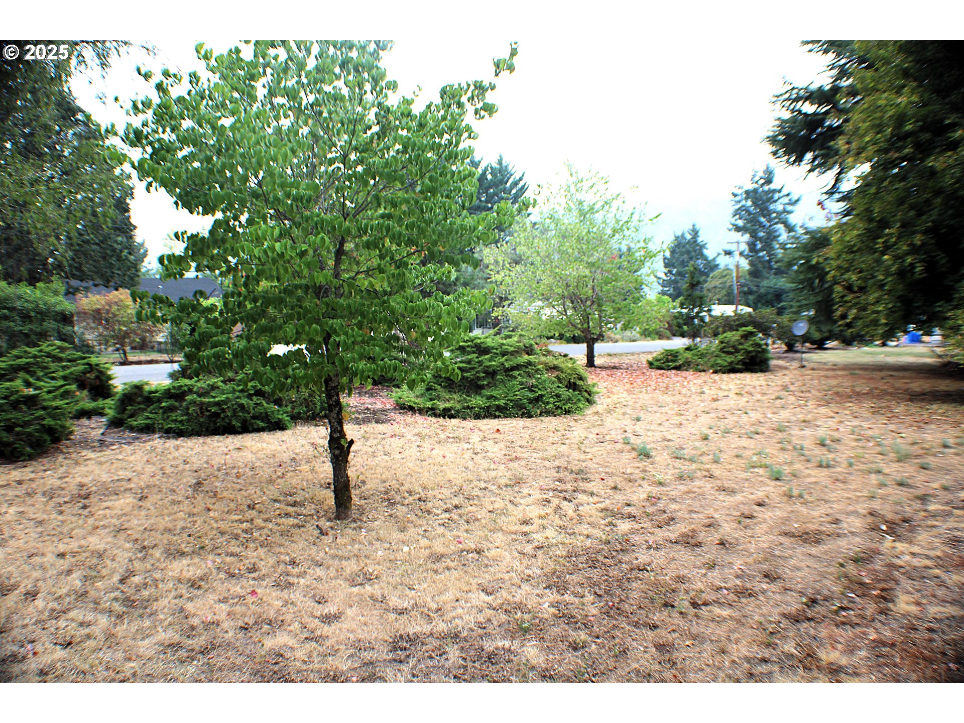 231 Arrow Way Myrtle Creek, OR 97457 - Photo 34 of 43