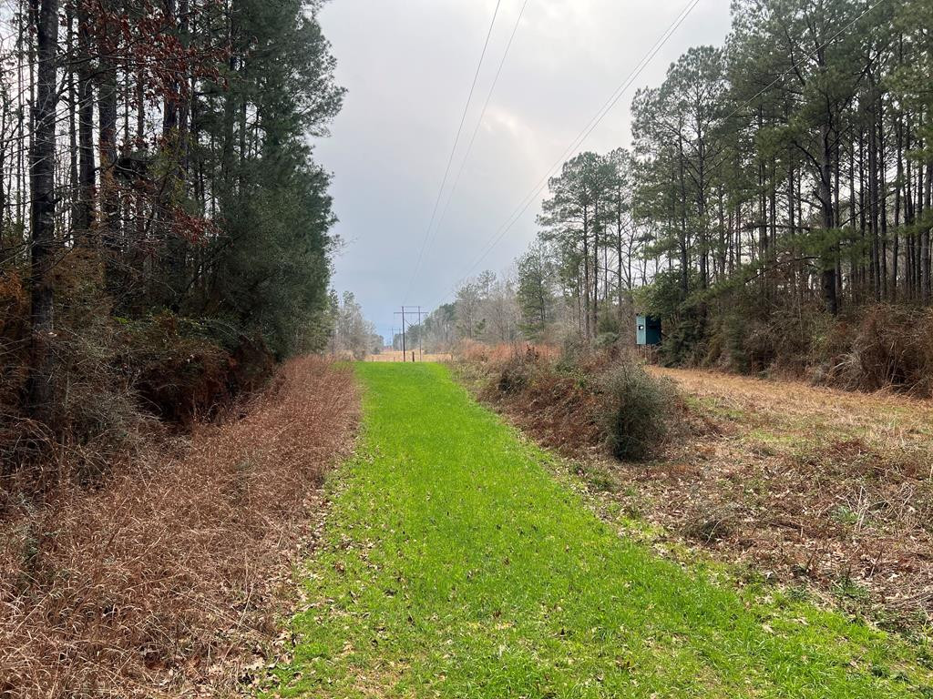 Tbd Blalock Road Gloster, MS 39638 - Photo 1 of 21 Main View