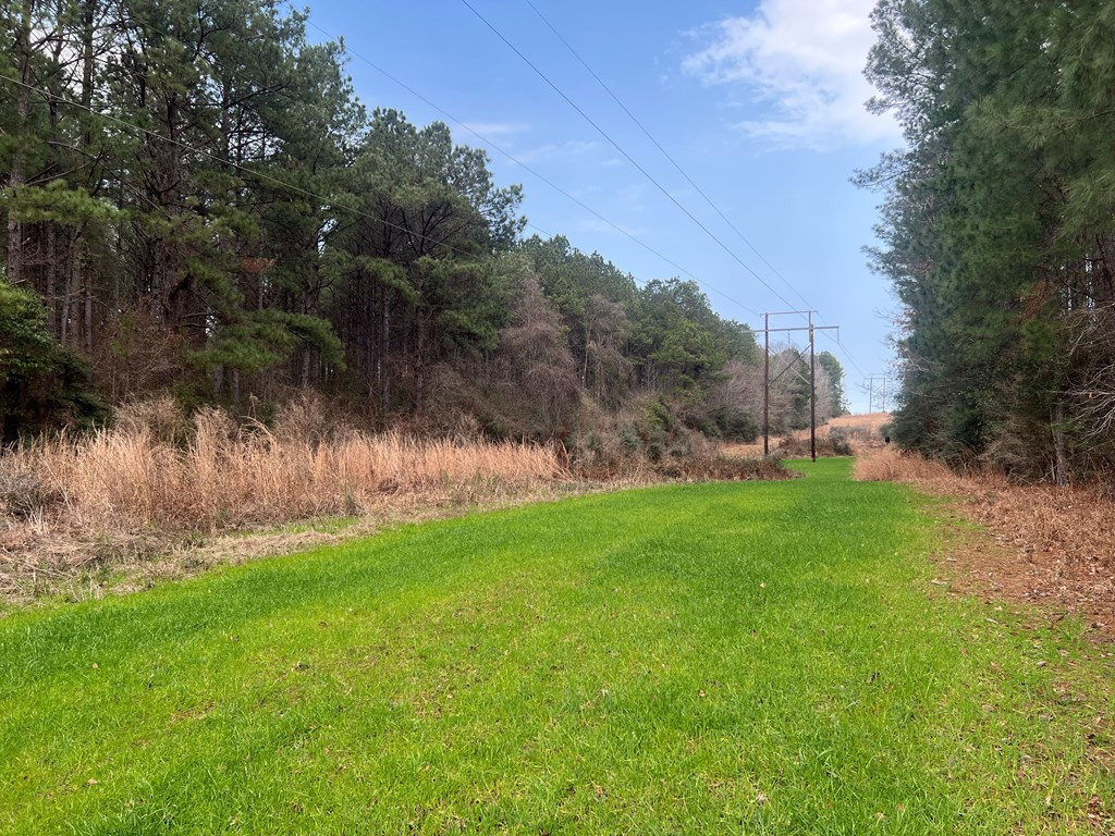 Tbd Blalock Road Gloster, MS 39638 - Photo 12 of 21 Photo 12