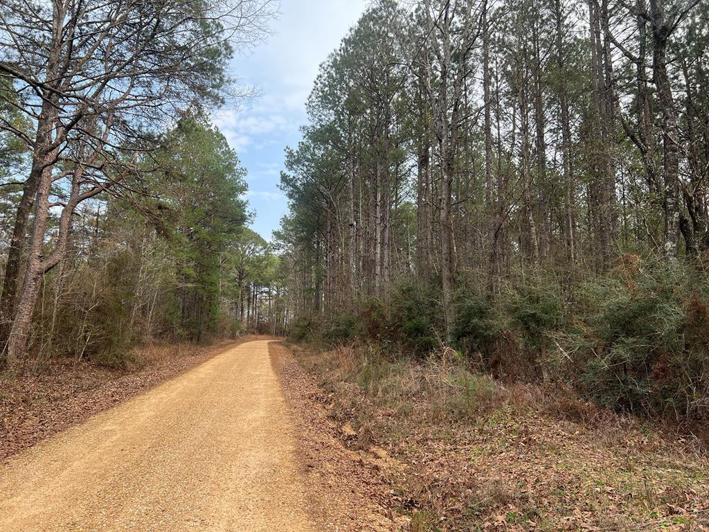 Tbd Blalock Road Gloster, MS 39638 - Photo 17 of 21 Photo 17