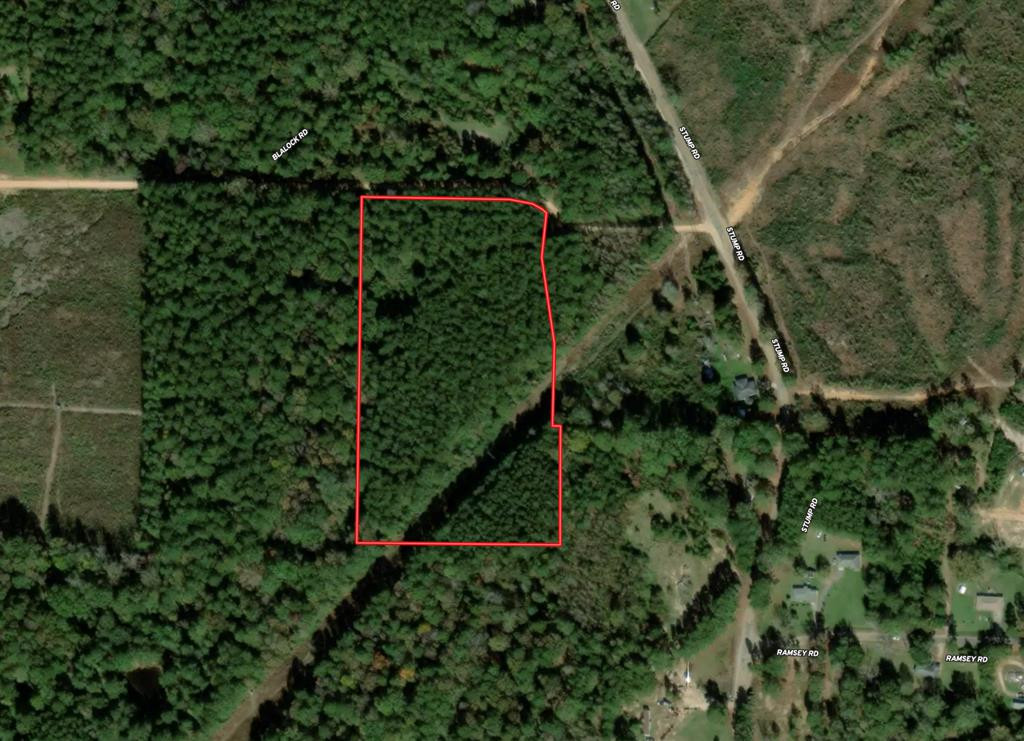 Tbd Blalock Road Gloster, MS 39638 - Photo 19 of 21 Photo 19