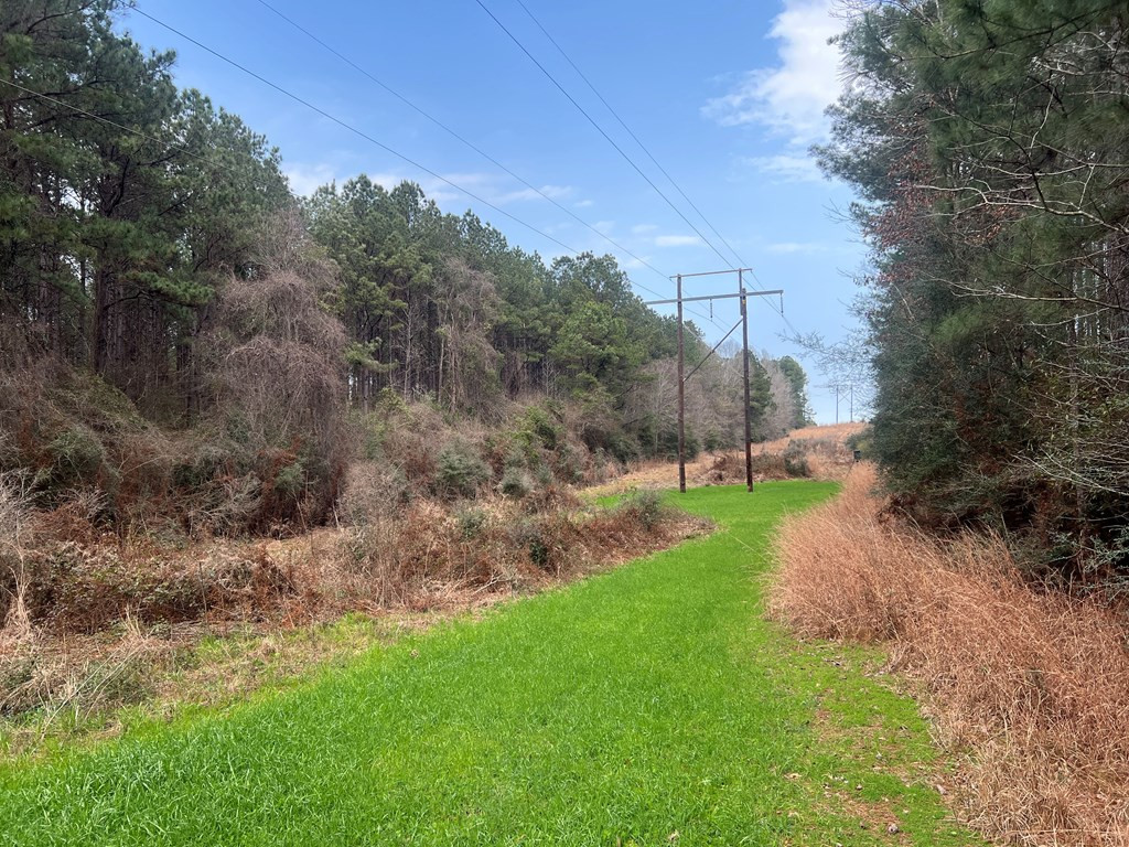Tbd Blalock Road Gloster, MS 39638 - Photo 2 of 21 Photo 2