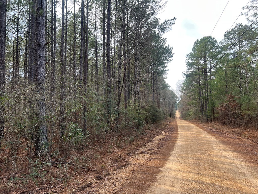 Tbd Blalock Road Gloster, MS 39638 - Photo 3 of 21 Photo 3