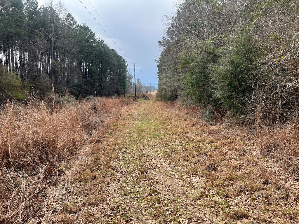 Tbd Blalock Road Gloster, MS 39638 - Photo 6 of 21 Photo 6