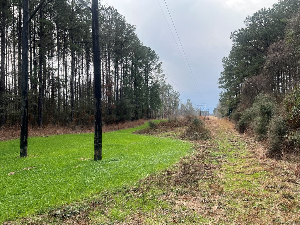 Tbd Blalock Road Gloster, MS 39638 - Photo 7 of 21 Photo 7