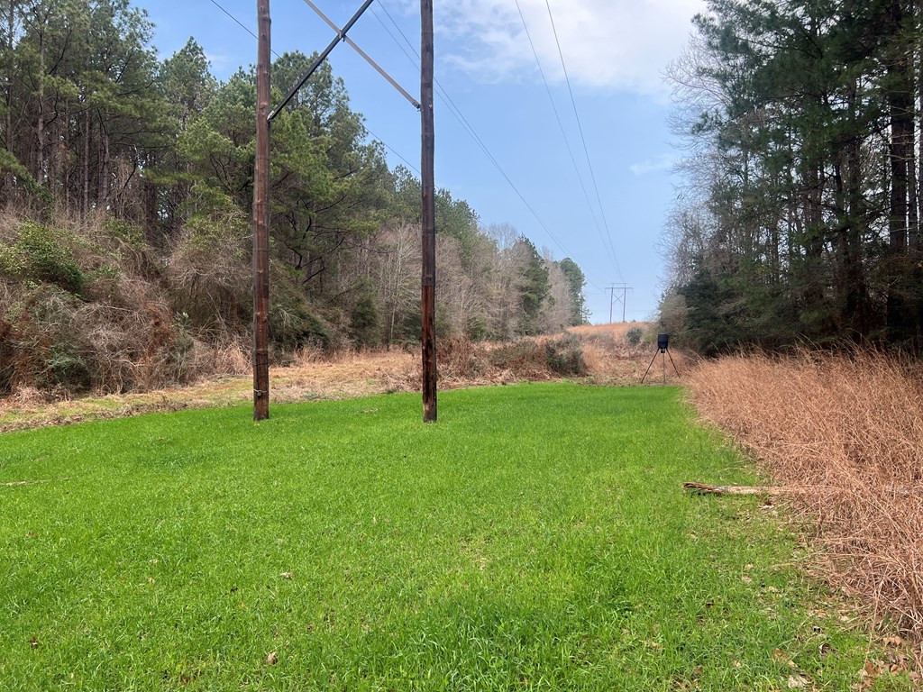 Tbd Blalock Road Gloster, MS 39638 - Photo 8 of 21 Photo 8