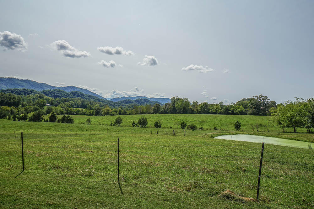 1505 McKenry Road Walland, TN 37886 - Photo 14 of 40 DSC09955