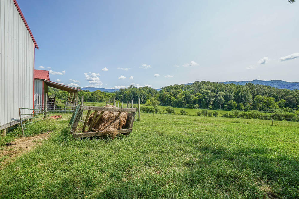 1505 McKenry Road Walland, TN 37886 - Photo 18 of 40 DSC09917