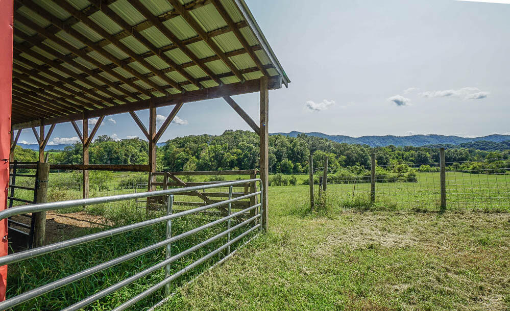 1505 McKenry Road Walland, TN 37886 - Photo 20 of 40 DSC09935