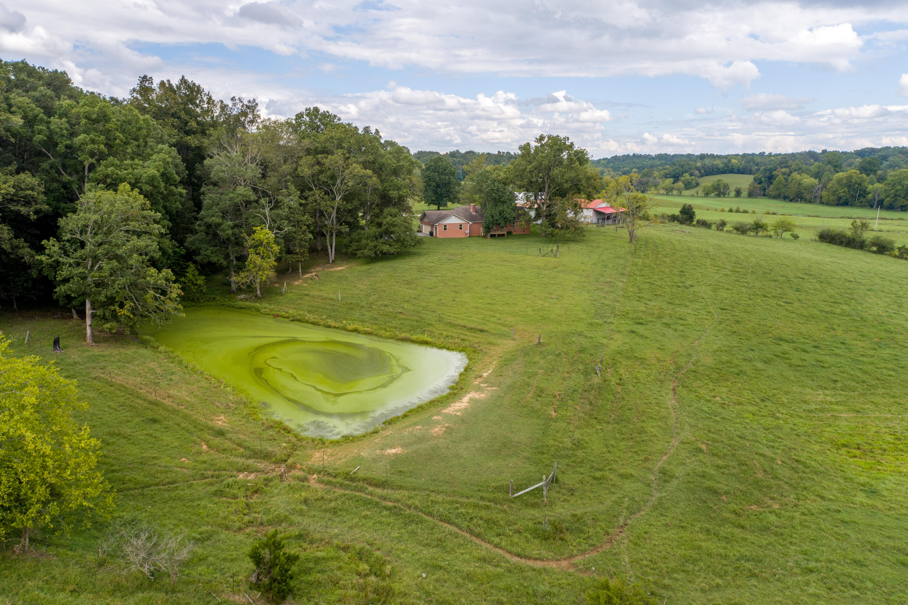 1505 McKenry Road Walland, TN 37886 - Photo 6 of 40 1505 McKenry-13