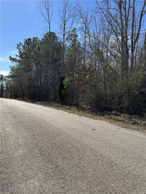 0 Walt Road Phenix City, AL 36869 - Photo 1 of 4 View of road