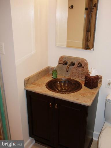 5222 Juliet Street Springfield, VA 22151 - Photo 17 of 29 Bath 1