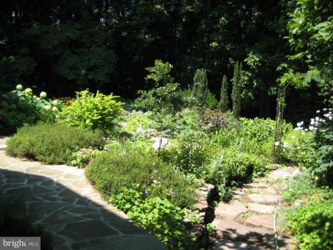5222 Juliet Street Springfield, VA 22151 - Photo 18 of 29 Extensive Paths, PRIVACY