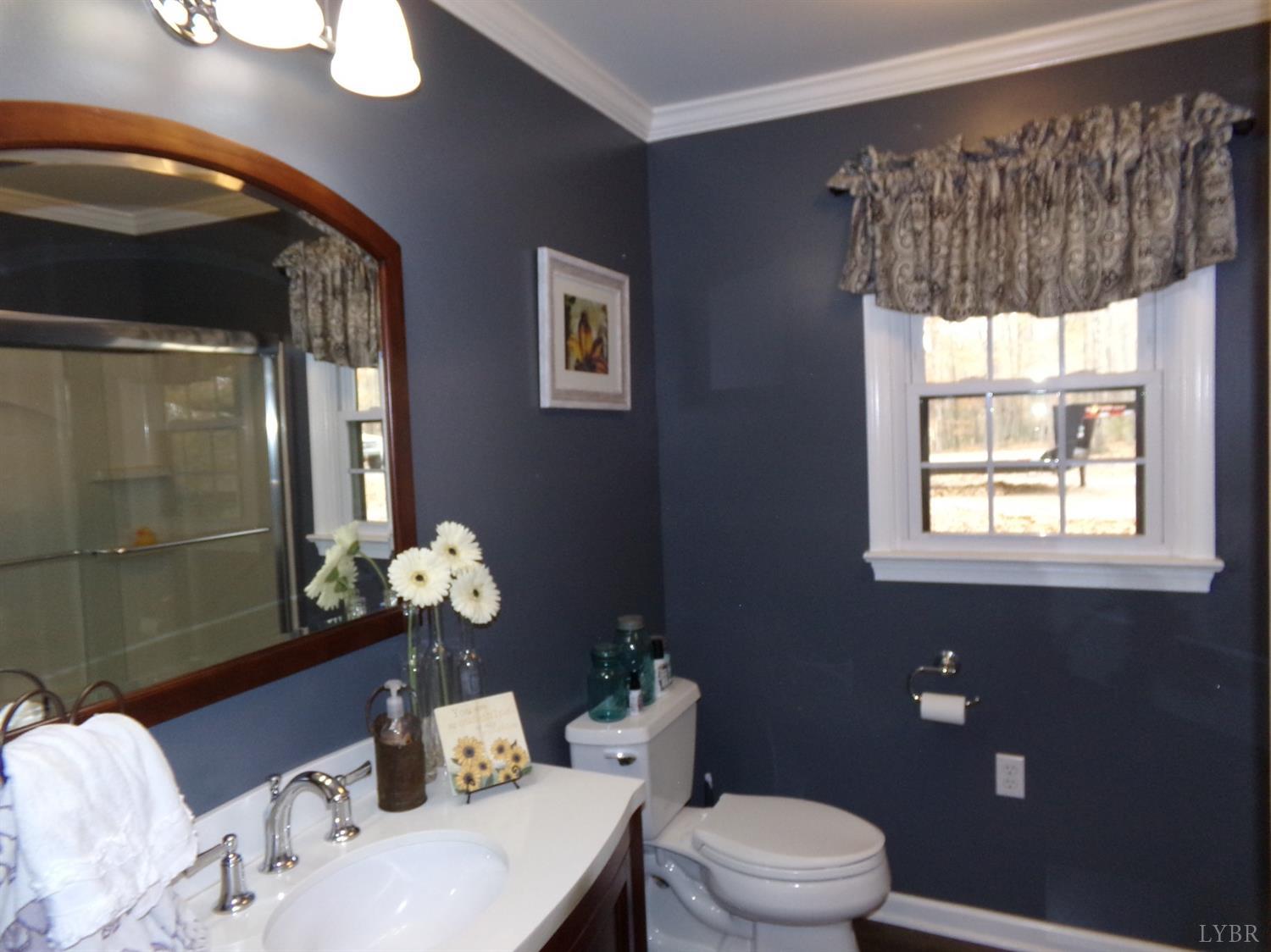 671 Countyline Road Keysville, VA 23947 - Photo 21 of 38 a bathroom with a toilet a sink and mirror