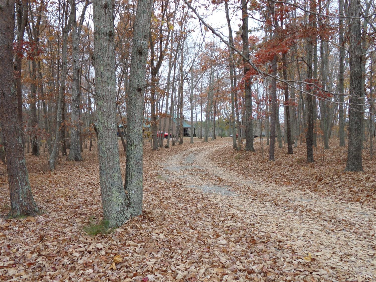 671 Countyline Road Keysville, VA 23947 - Photo 31 of 38 a backyard of a house with lots of green space