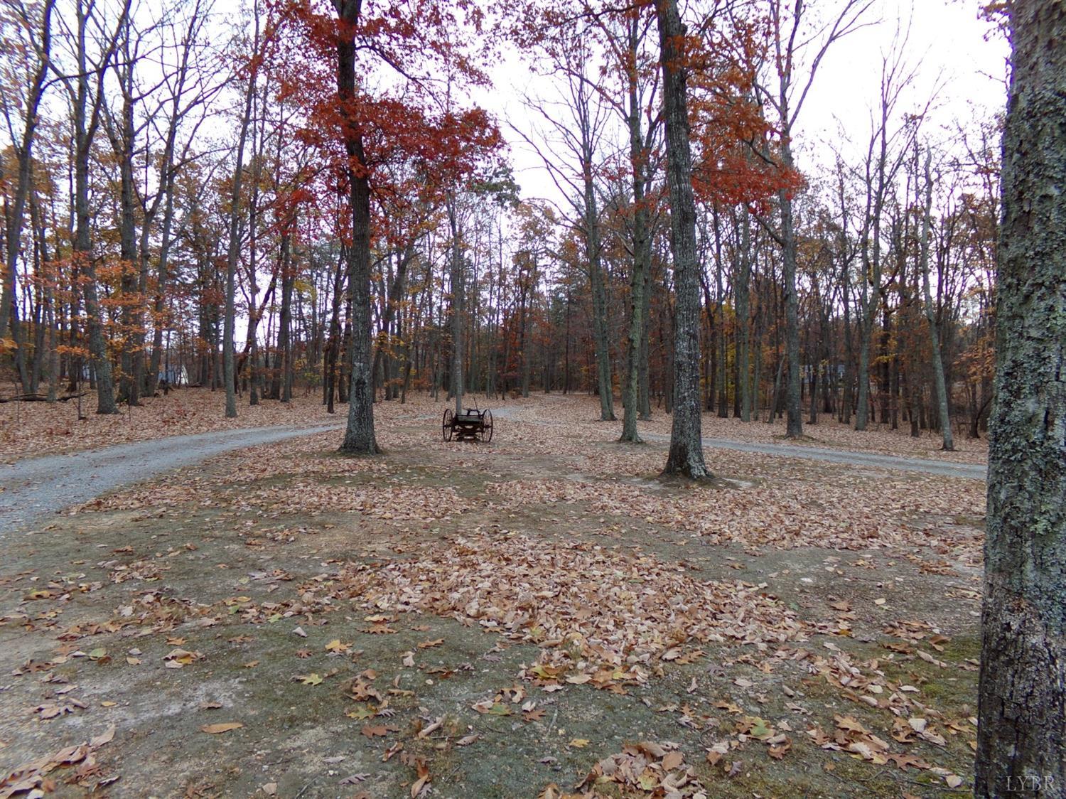 671 Countyline Road Keysville, VA 23947 - Photo 32 of 38 a view of outdoor space with trees