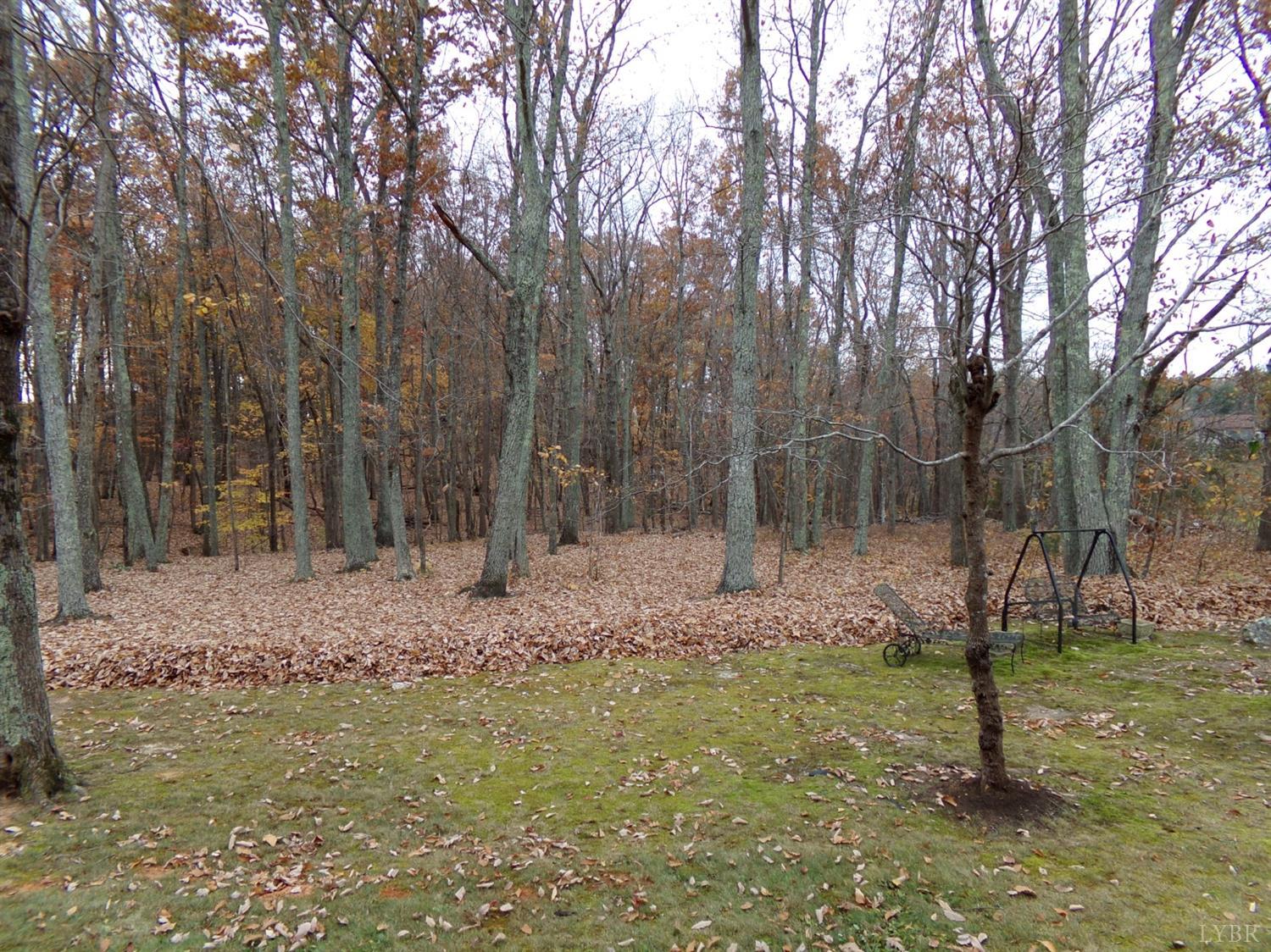 671 Countyline Road Keysville, VA 23947 - Photo 37 of 38 a view of outdoor space with trees