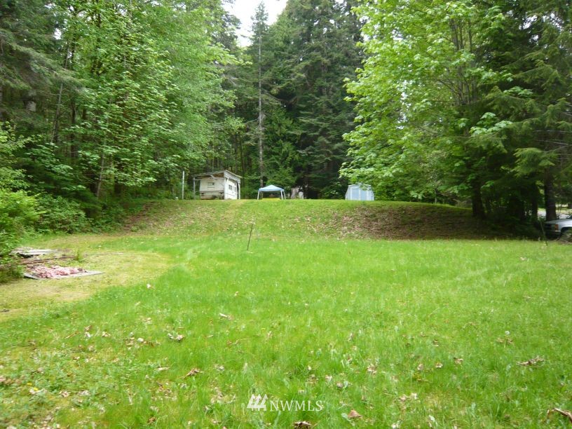 921 Mountain Trail Road Brinnon, WA 98320 - Photo 1 of 1 Gallery Image 1