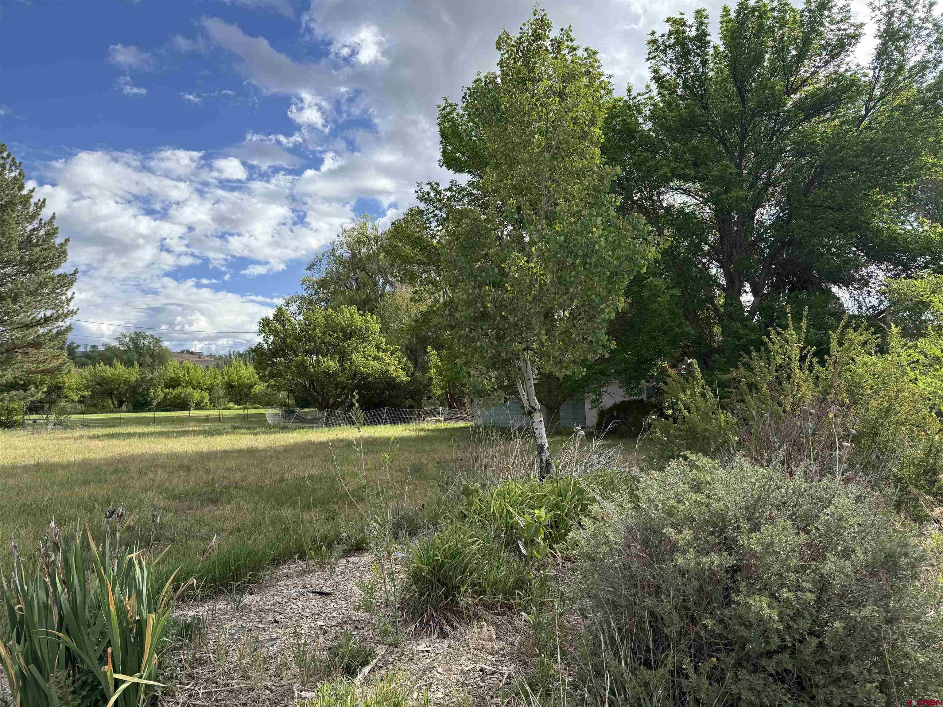 10944 3500th Road Hotchkiss, CO 81419 - Photo 34 of 45
