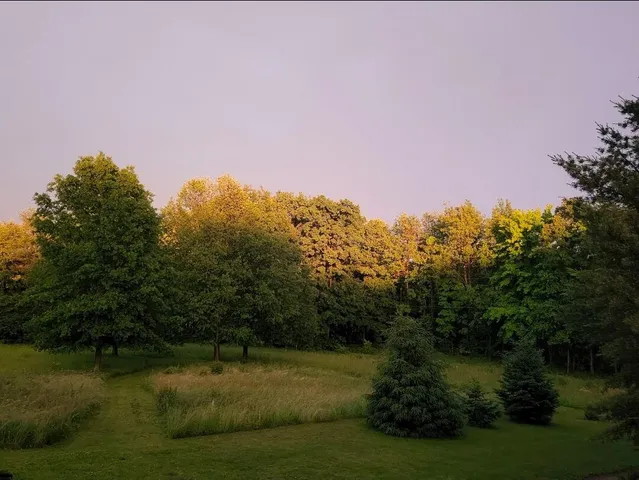 $279,900 | 15143 H Drive South, Marshall, MI 49068