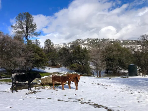 $675,000 | 34200 Old Hickory Lane, Coarsegold, CA 93614