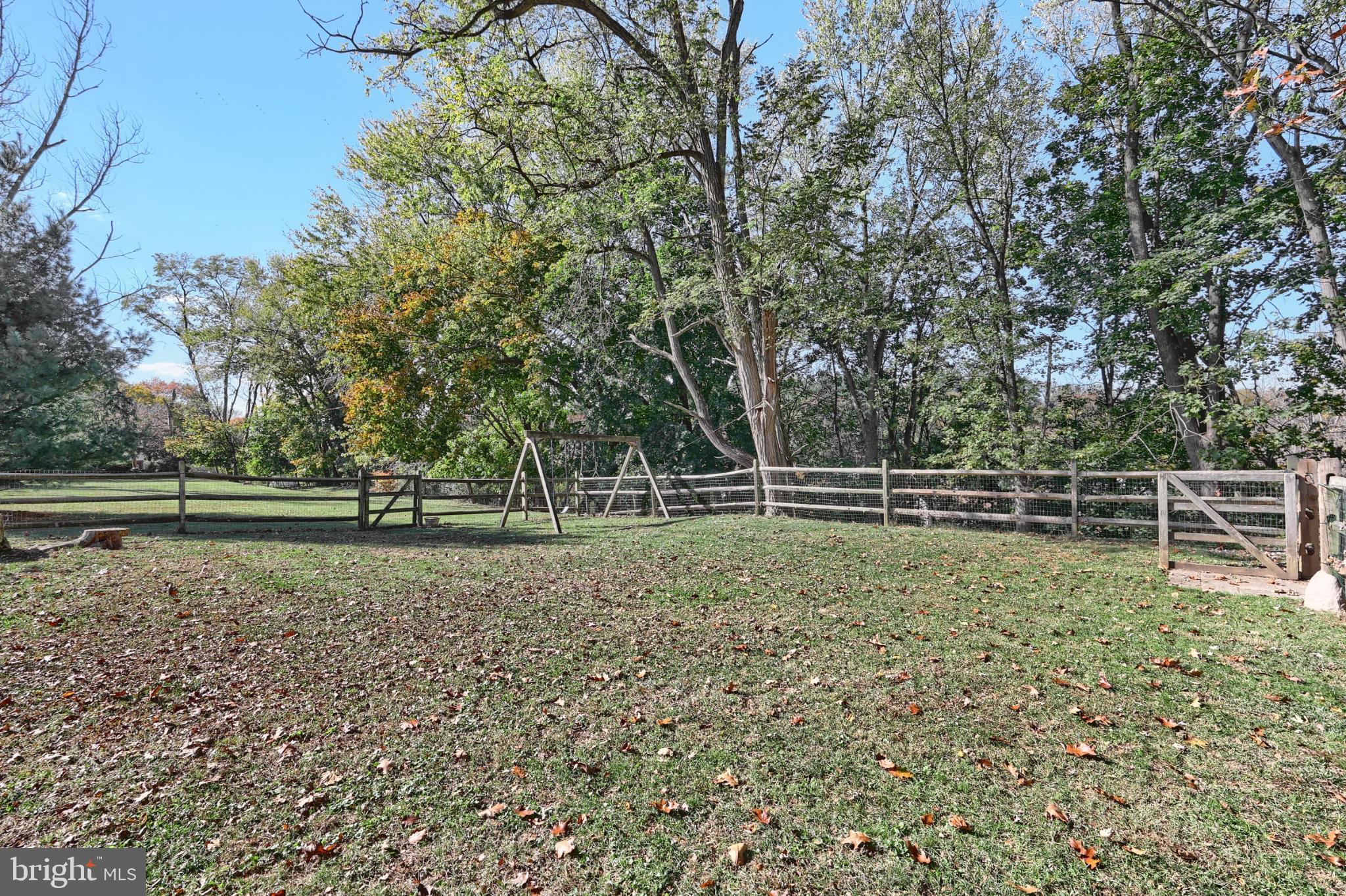 150 Ridge Avenue Glen Rock, PA 17327 - Photo 8 of 49 Spacious yard embraced by nature's beauty.