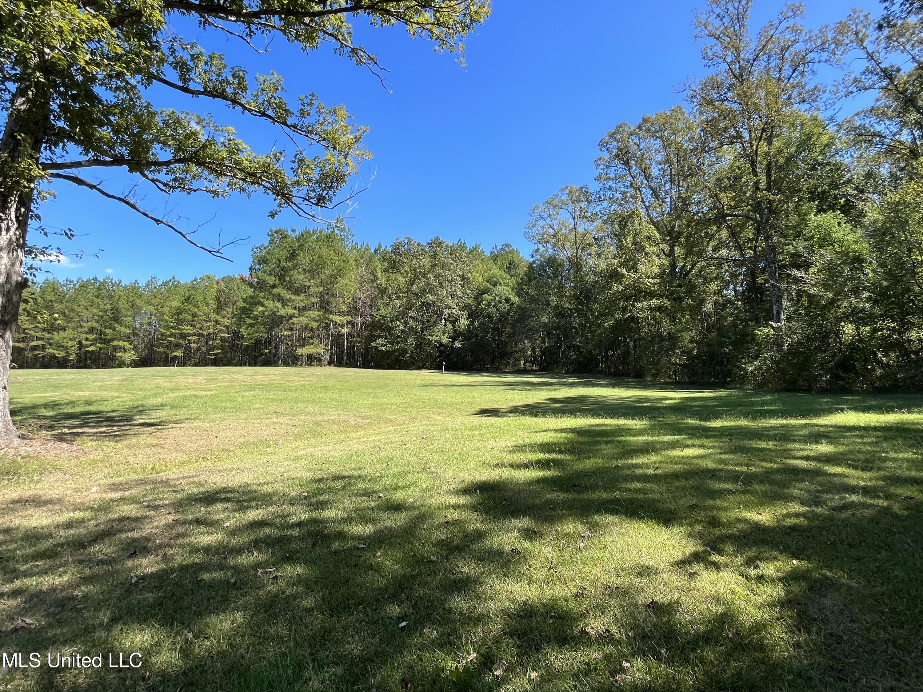 Mountain Creek Farm Road Florence, MS 39073 - Photo 58 of 86 IMG_7775