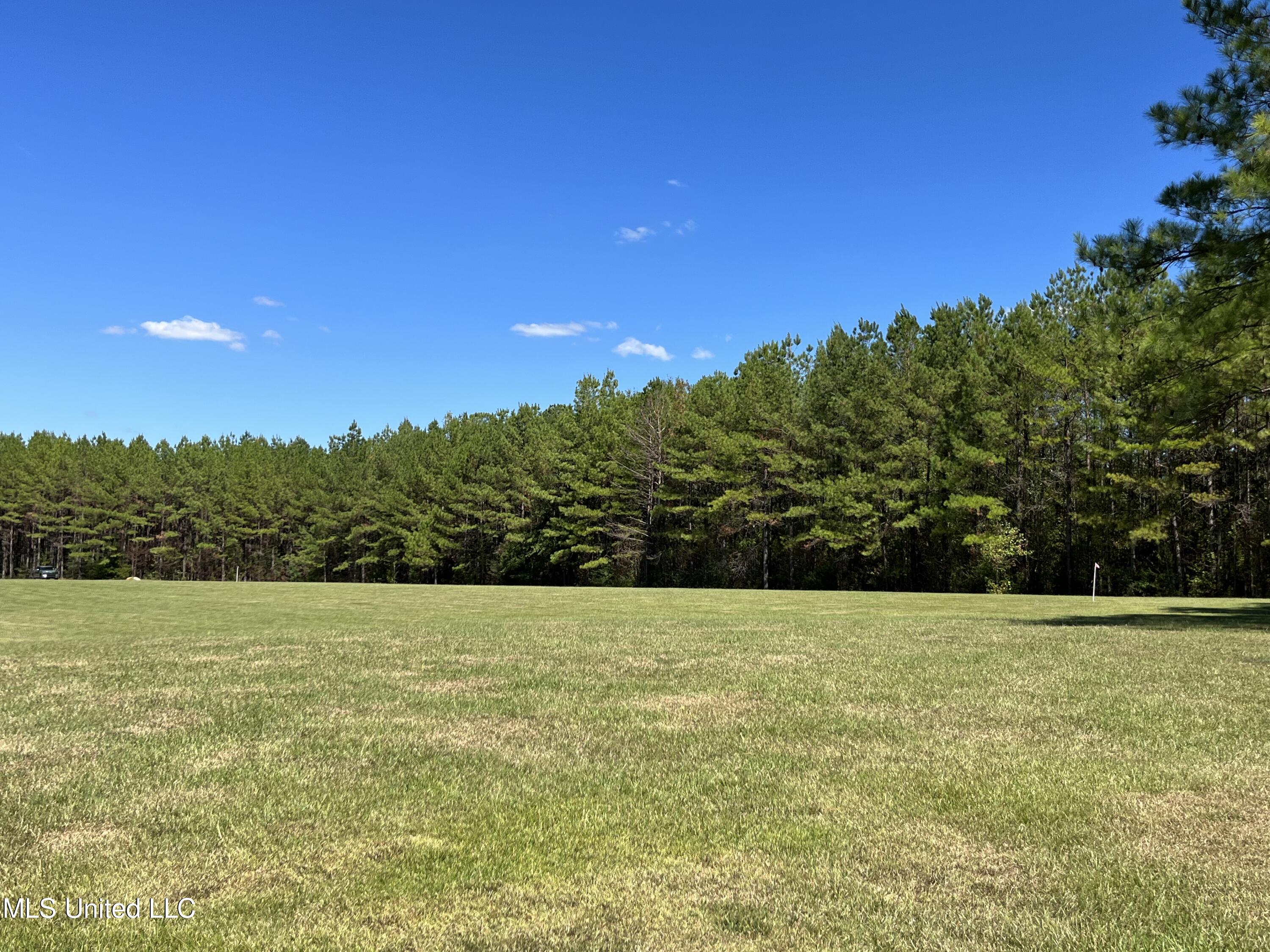 Mountain Creek Farm Road Florence, MS 39073 - Photo 61 of 86 IMG_7778
