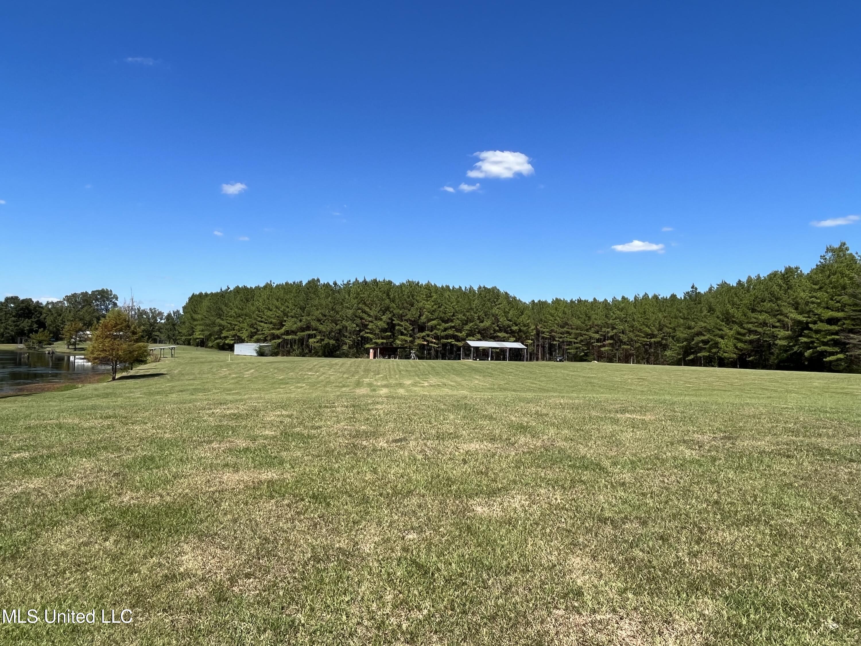Mountain Creek Farm Road Florence, MS 39073 - Photo 62 of 86 IMG_7779