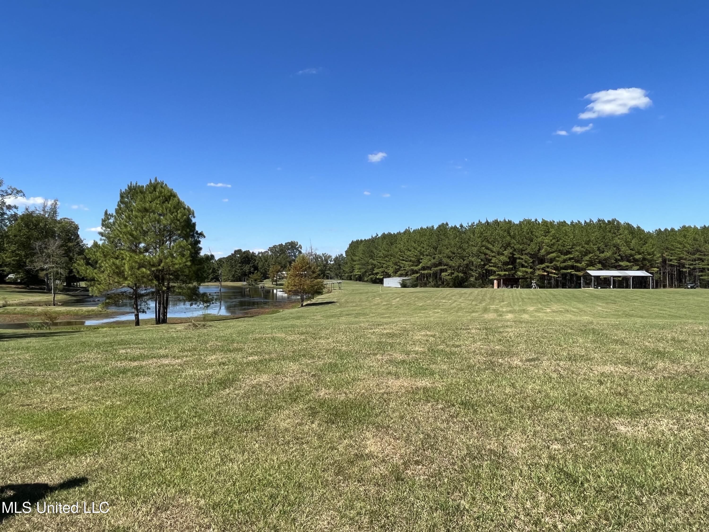 Mountain Creek Farm Road Florence, MS 39073 - Photo 64 of 86 IMG_7781