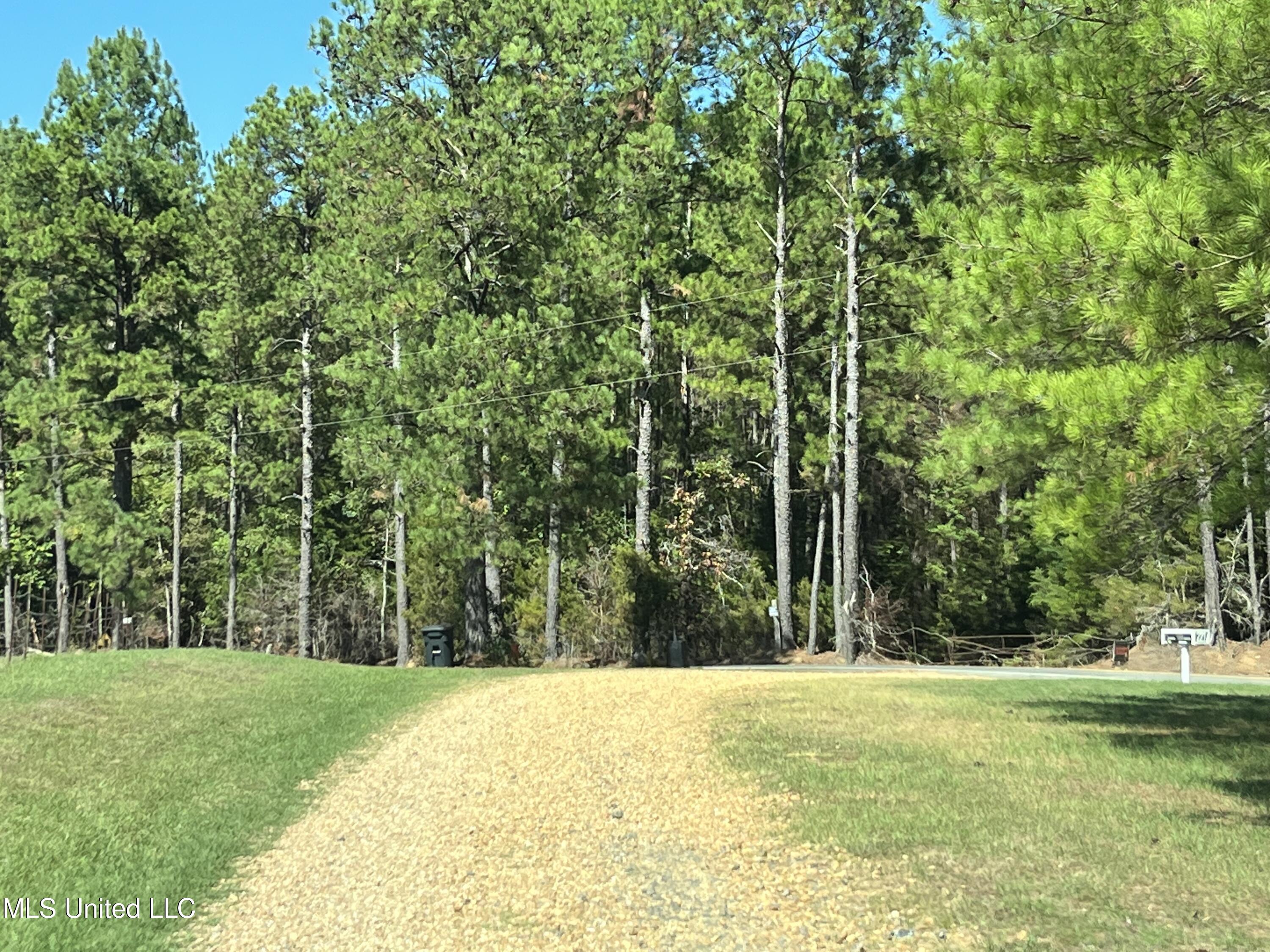 Mountain Creek Farm Road Florence, MS 39073 - Photo 78 of 86 IMG_7795