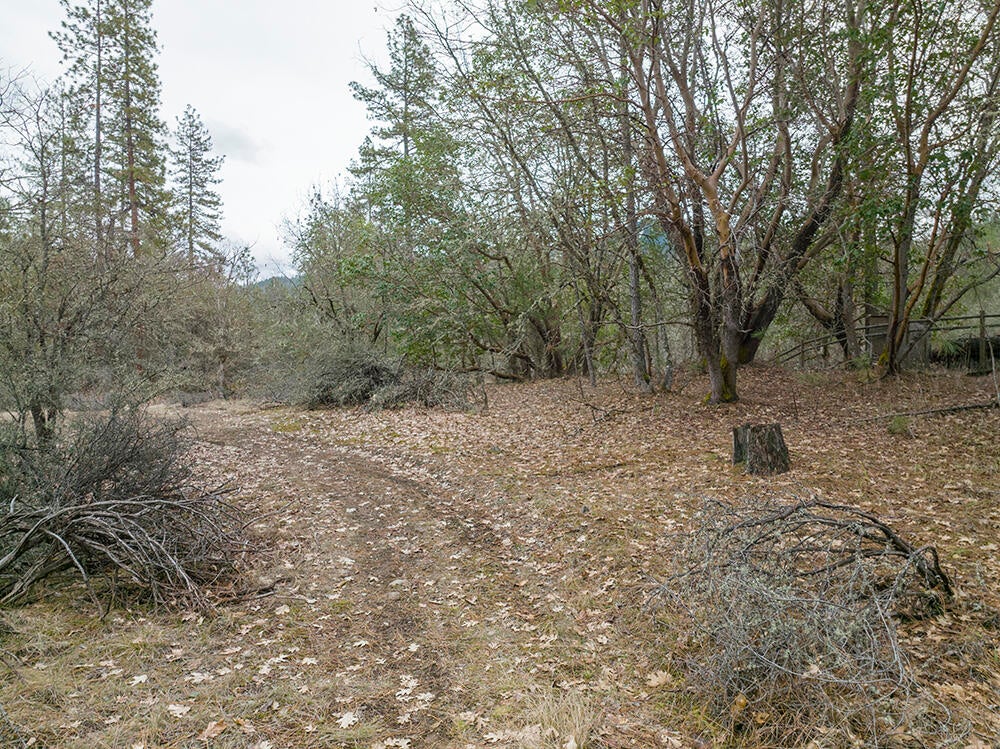 0 Queens Branch Road Rogue River, OR 97537 - Photo 13 of 36 13