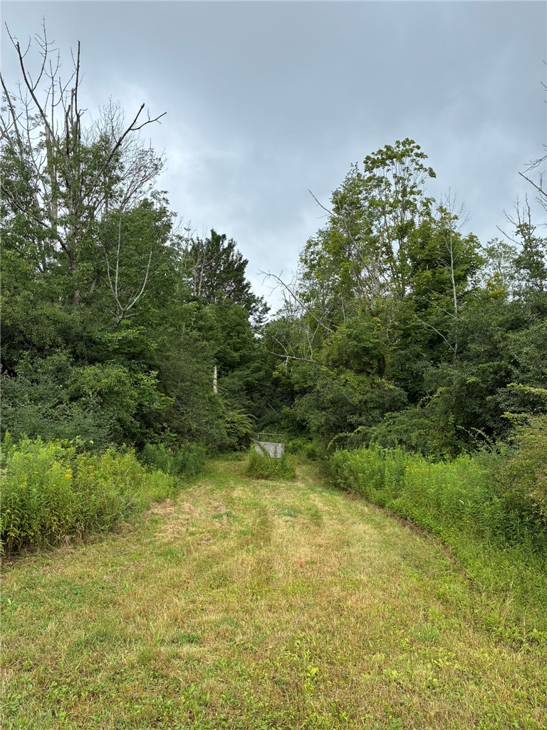 473 Backer Road Catlin, NY 14812 - Photo 18 of 20 Gallery Image 18
