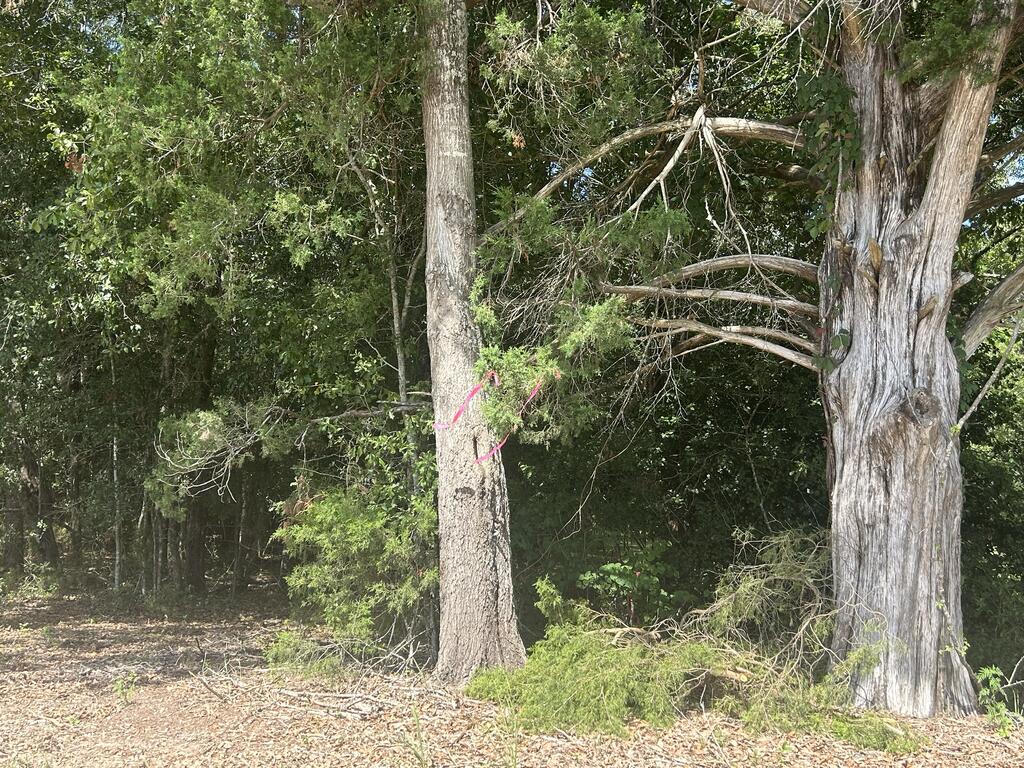 8350 South Co Road Cottonwood, AL 36320 - Photo 78 of 79 Gallery Image 78