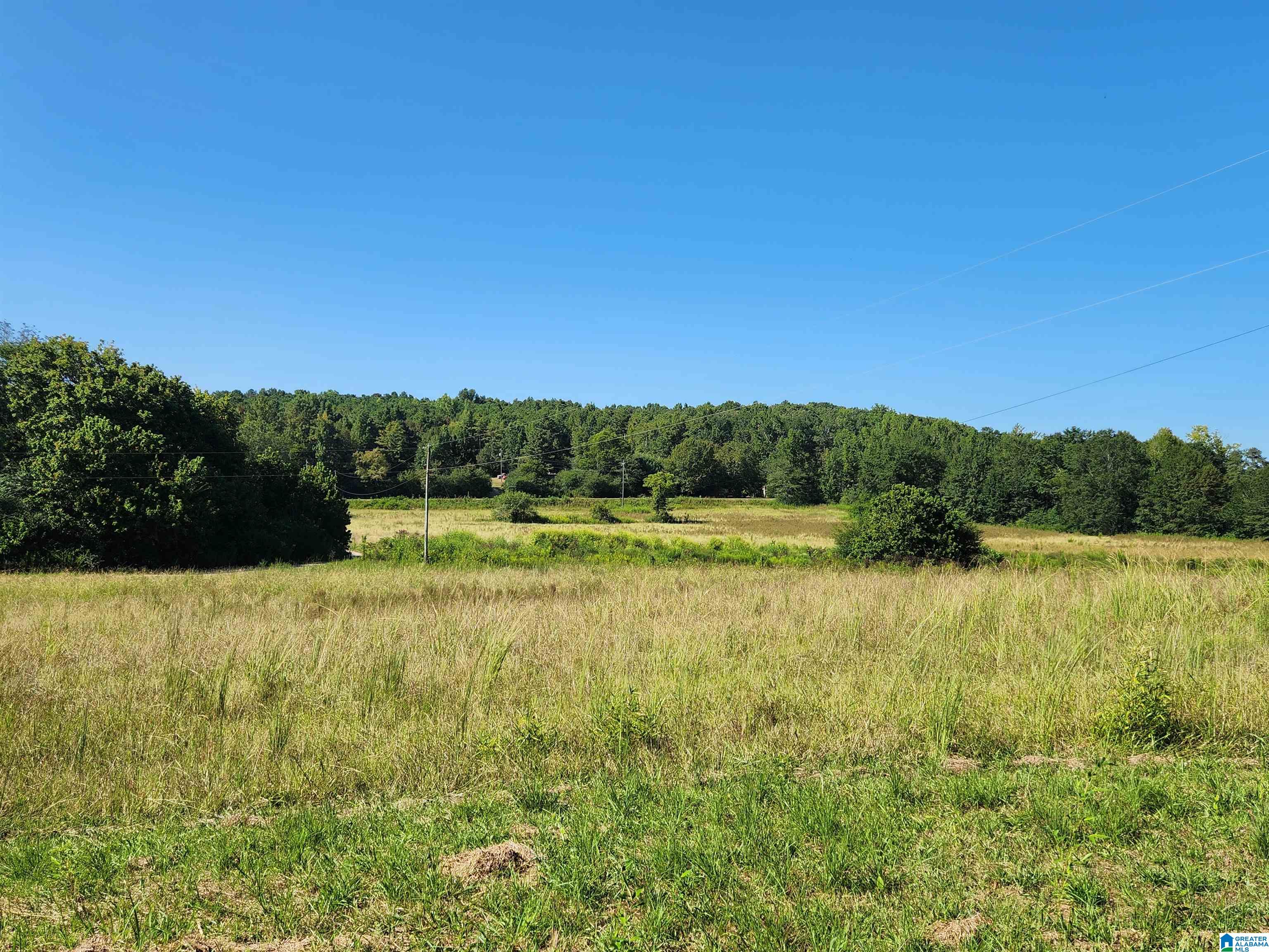14843 Gallant Road Gallant, AL 35972 - Photo 7 of 100